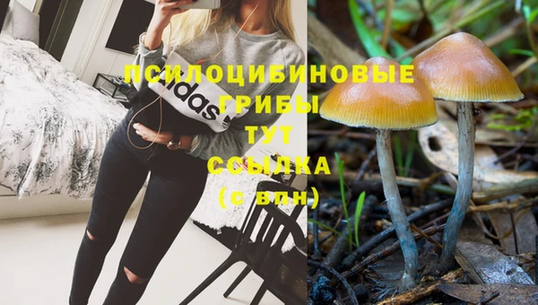 ГАЛЛЮЦИНОГЕННЫЕ ГРИБЫ Абдулино