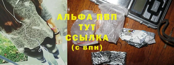стаф Абинск