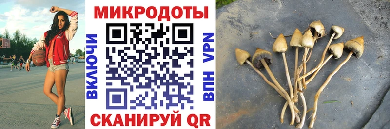 Псилоцибиновые грибы Psilocybine cubensis  KRAKEN как зайти  Егорьевск 