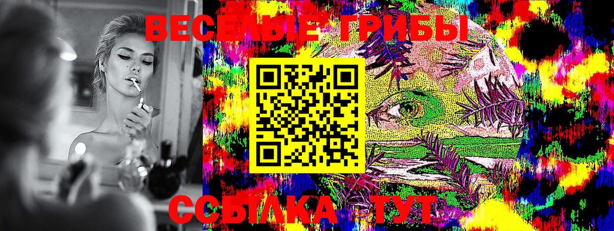 хочу   Вход с VPN  Егорьевск  Псилоцибиновые грибы Magic Shrooms 