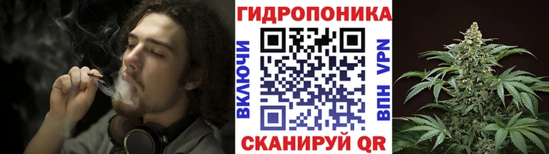 Бошки марихуана конопля МЕГА ссылка Егорьевск